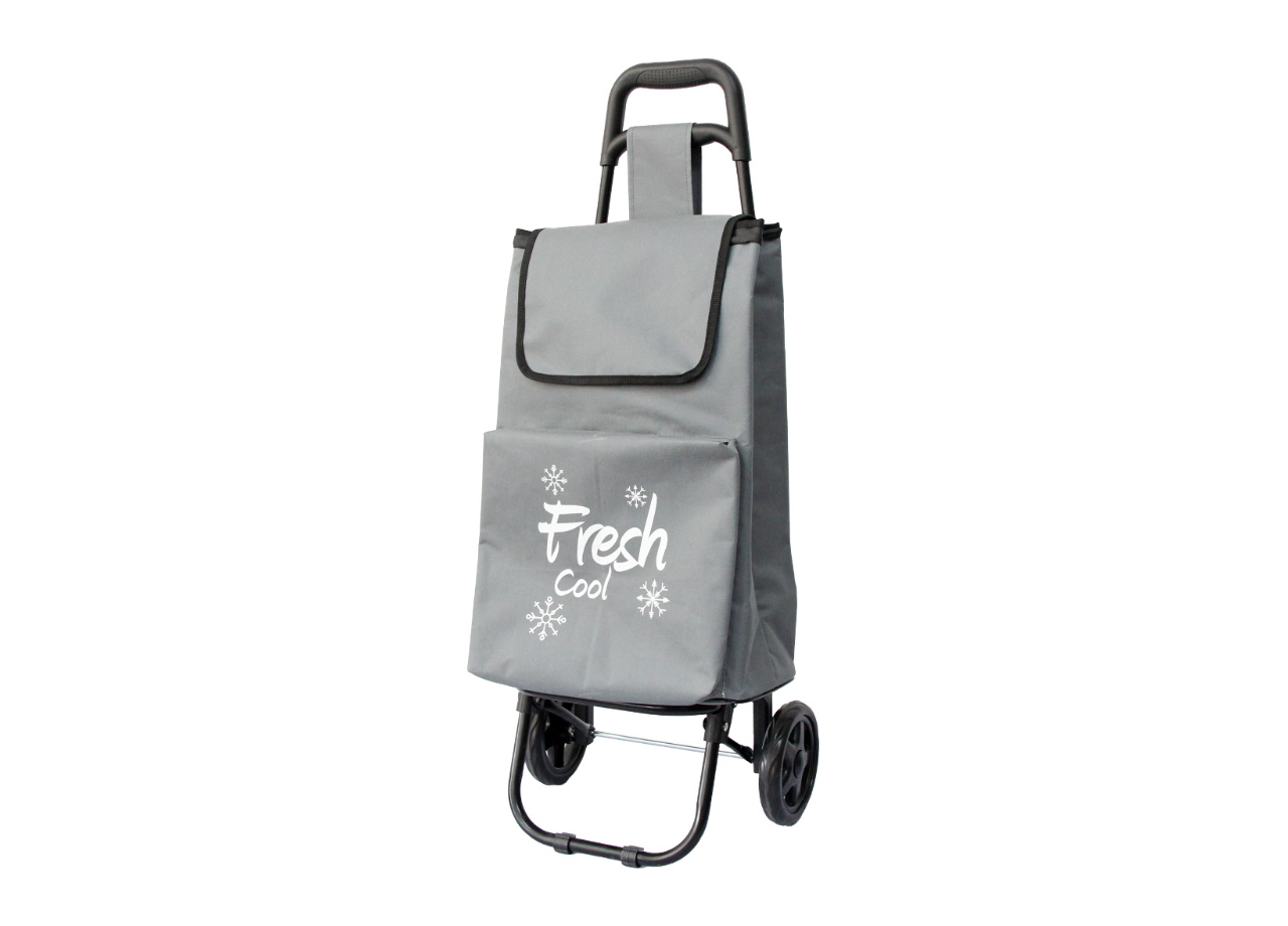 Image of Carrello Spesa Termico Con Ruote Trolley Portaspesa Con Manico Alfrossoo - Carrello - Grigio