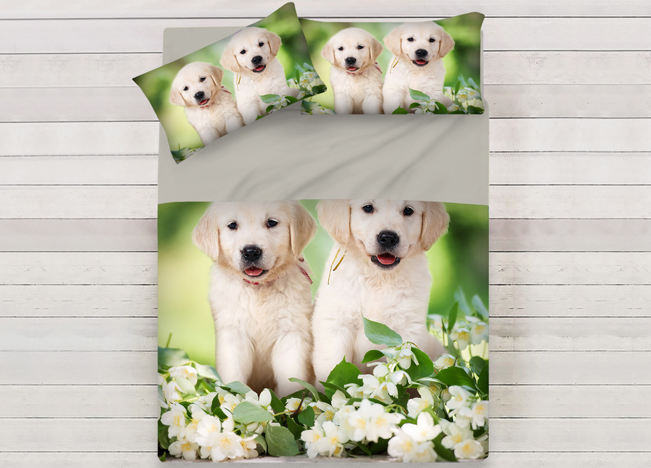 Image of Lenzuola Copriletto Letto Sogni D&#39;oro 100% Cotone Disegno Springdog 64 - Singolo - Springdog 64