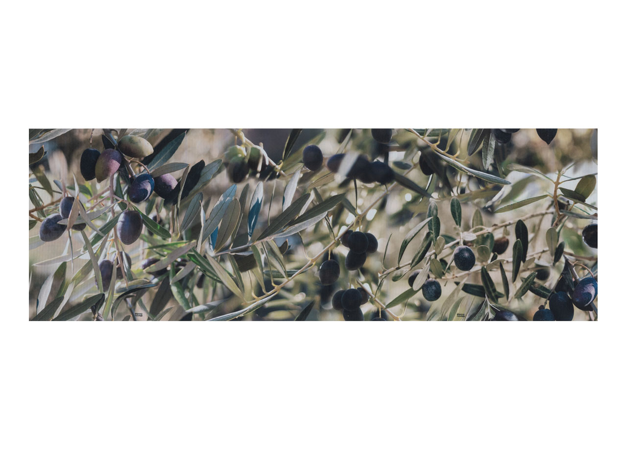 Image of Tappeto Passatoia Cucina Antiscivolo Antimacchia Digitale Sprinty OliveTree - 52x230 - OliveTree